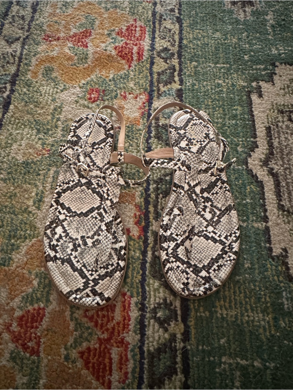 torrid Snake-Print T-Strap Sandals in Black & White